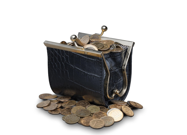 regular savings wallet